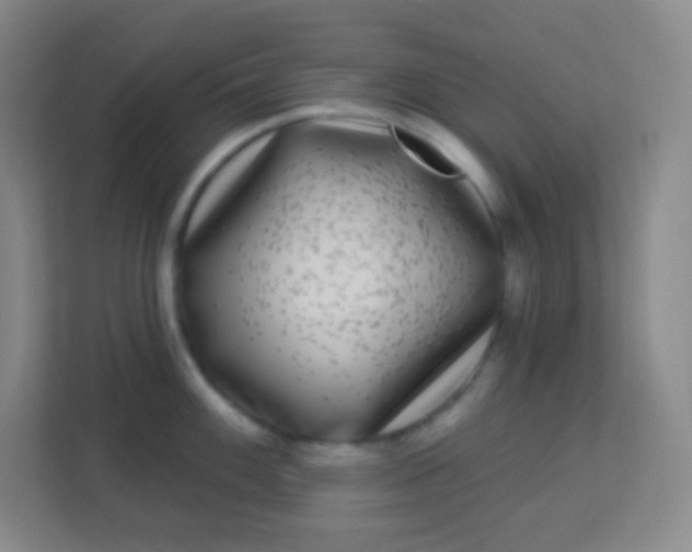 X0000113941100200910091618