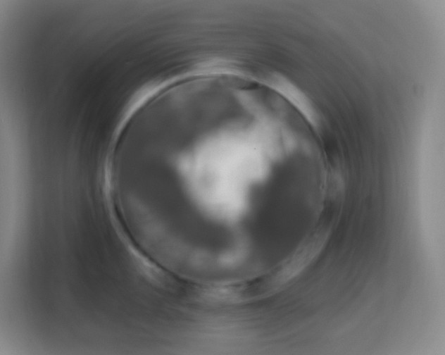 X0000113941101200910091618