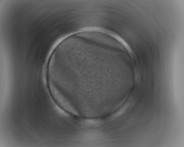 X0000113941102200910091618