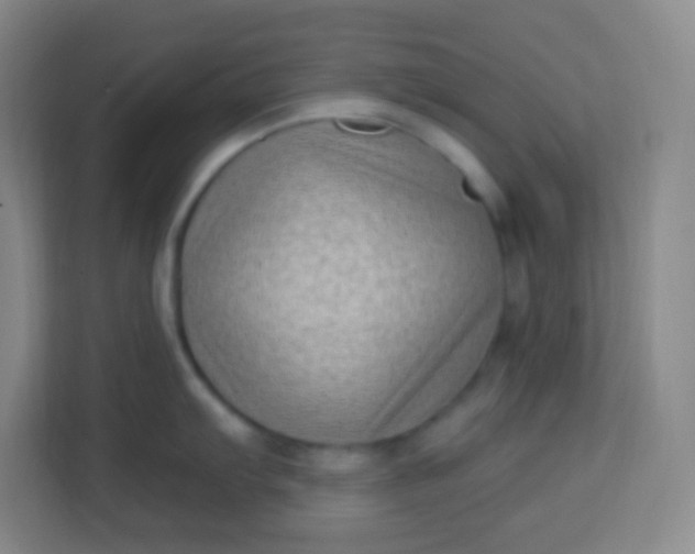 X0000113941103200910091618