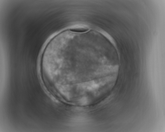 X0000113941104200910091618