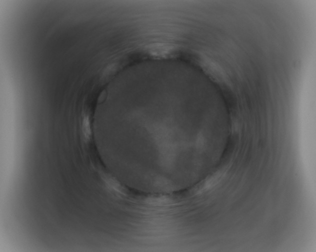 X0000113941106200910091617