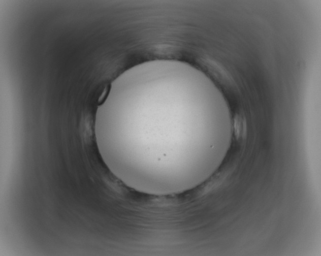 X0000113941107200910091617