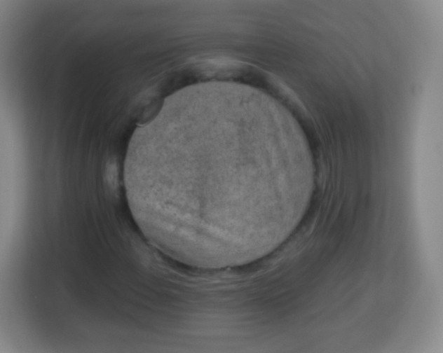 X0000113941108200910091617