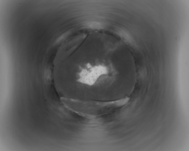 X0000113941110200910091617