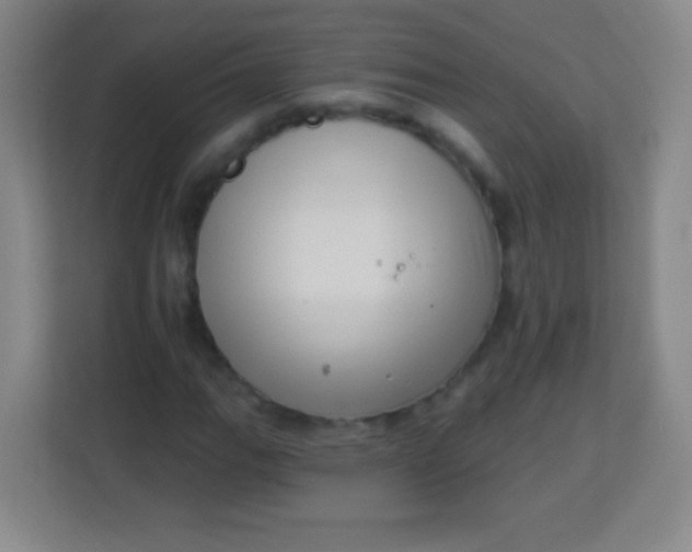 X0000113941111200910091617