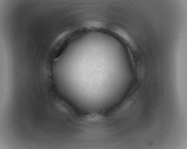 X0000113941112200910091617