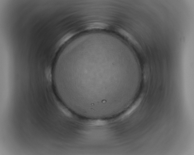 X0000113941113200910091617