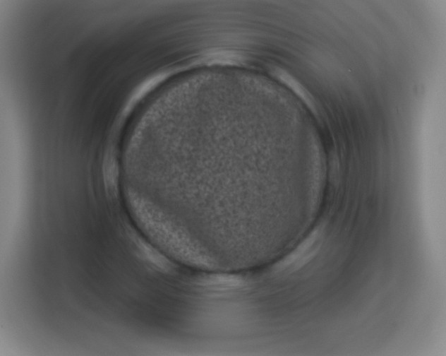 X0000113941115200910091617