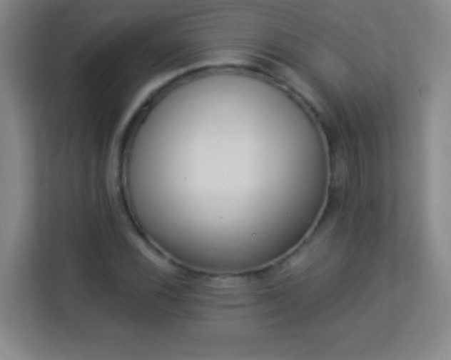 X0000113941116200910091617