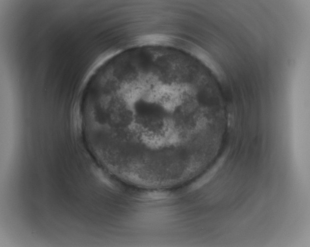 X0000113941117200910091617