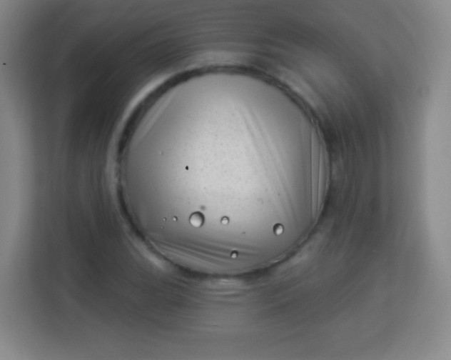 X0000113941119200910091617