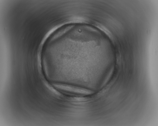 X0000113941120200910091617