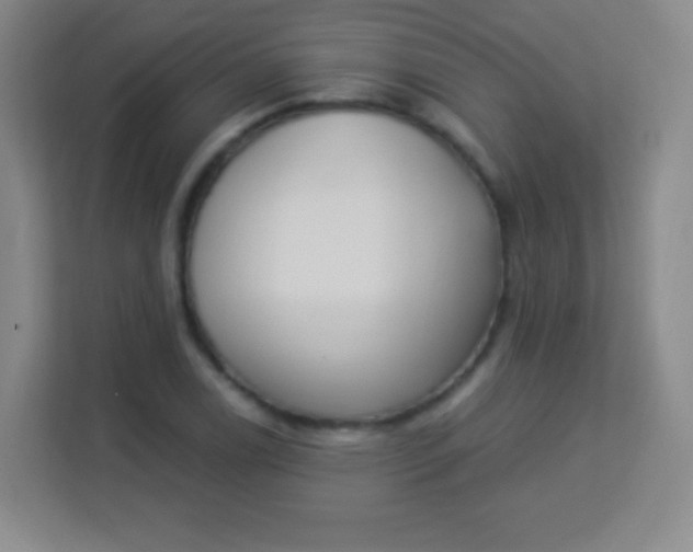 X0000113941122200910091617