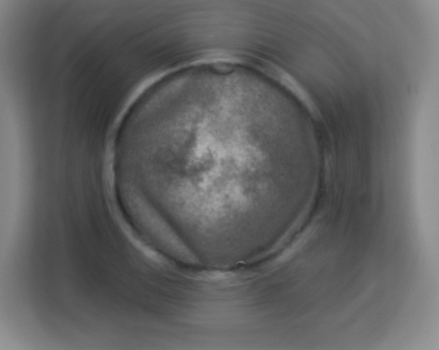 X0000113941124200910091617