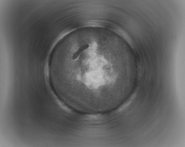 X0000113941125200910091617