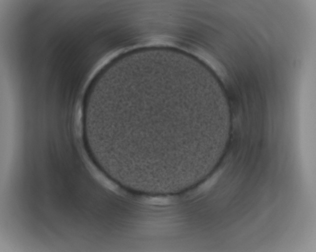 X0000113941126200910091617