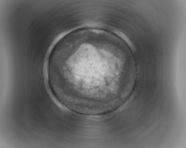 X0000113941128200910091617