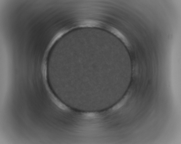 X0000113941130200910091617