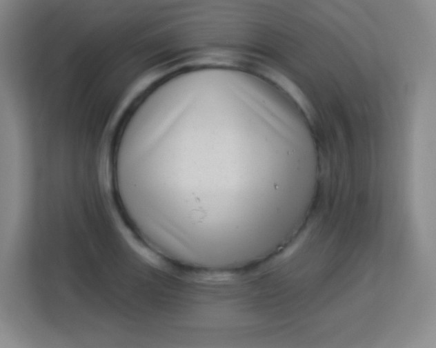 X0000113941131200910091617