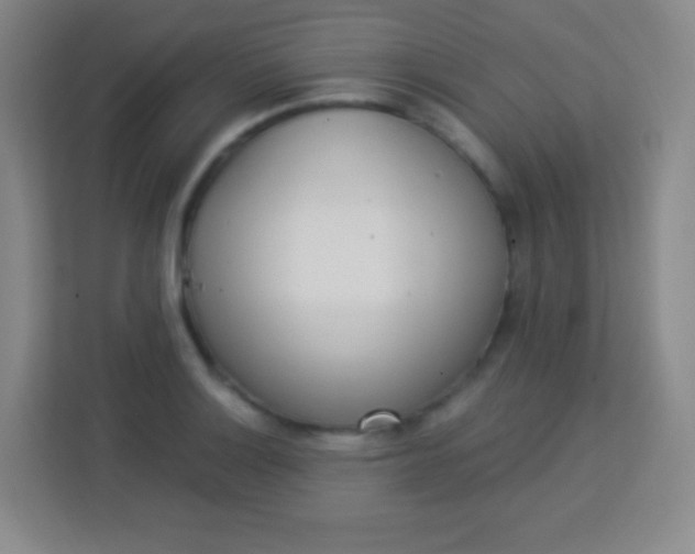 X0000113941132200910091617