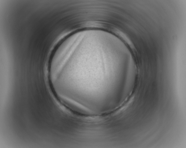 X0000113941133200910091617