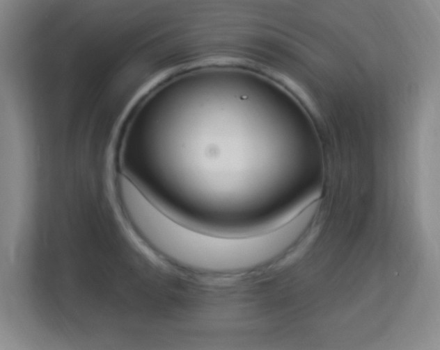 X0000113941134200910091617