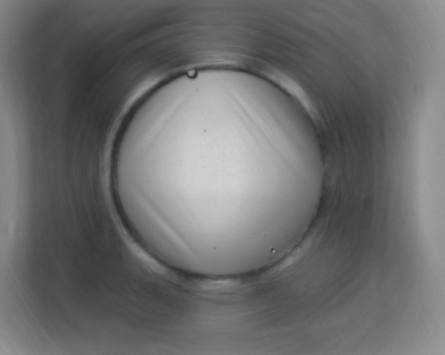 X0000113941135200910091617