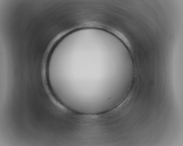 X0000113941136200910091617