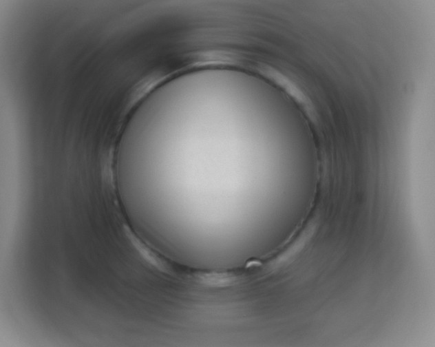 X0000113941137200910091617