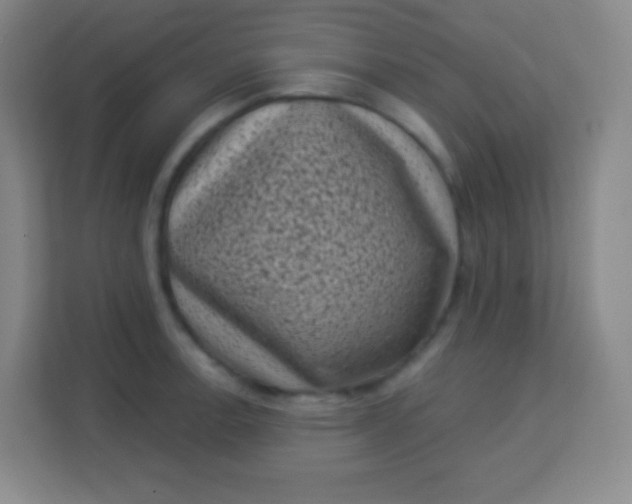 X0000113941138200910091617