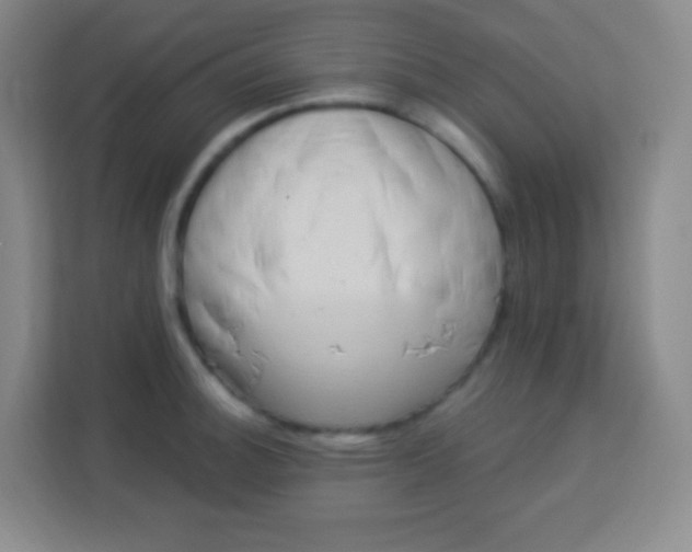 X0000113941140200910091617