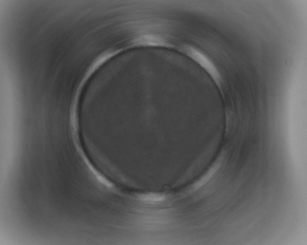 X0000113941141200910091617