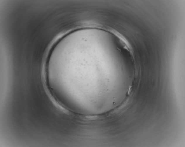 X0000113941144200910091617