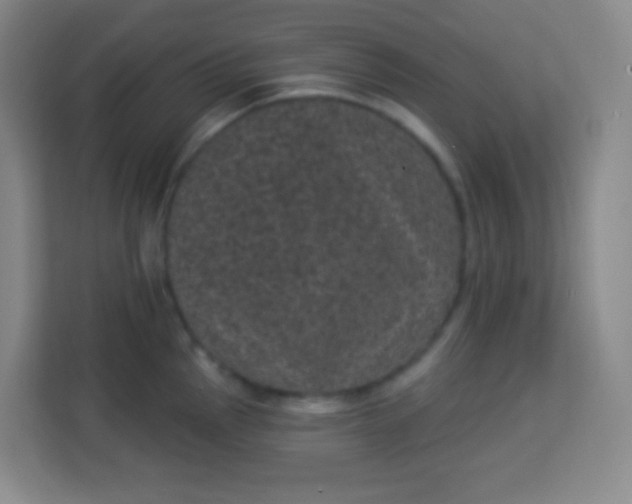 X0000113941145200910091617