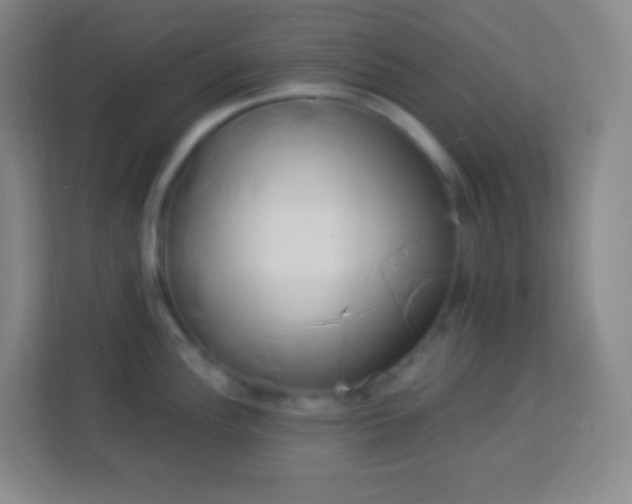 X0000113941148200910091617