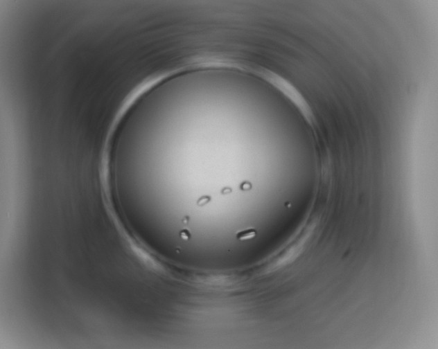 X0000113941149200910091617