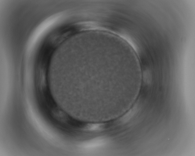 X0000113941150200910091617