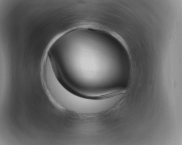 X0000113941152200910091617