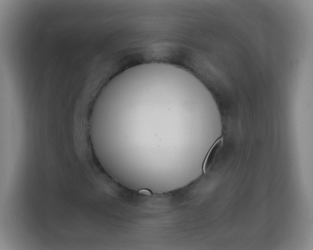 X0000113941153200910091617