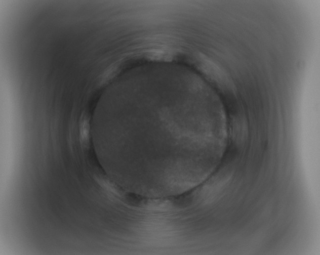 X0000113941154200910091617