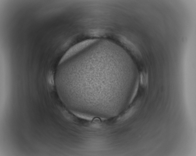 X0000113941155200910091617