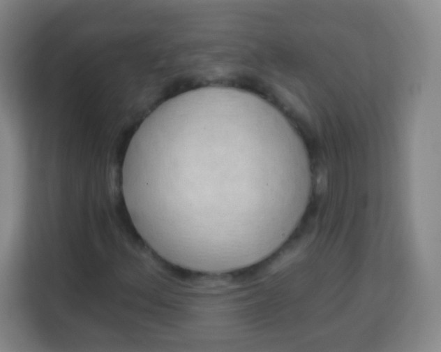 X0000113941156200910091617