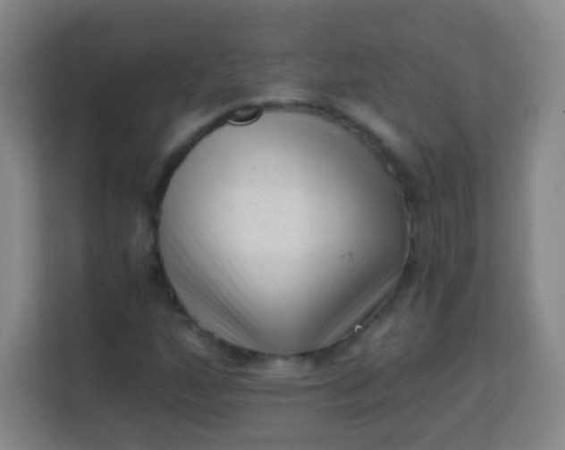 X0000113941160200910091617