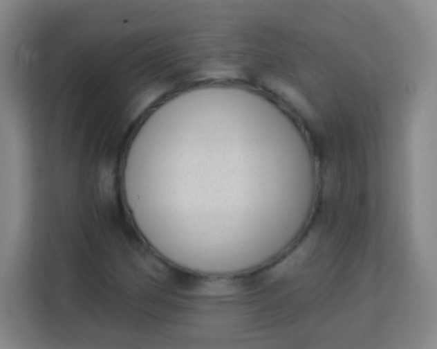 X0000113941162200910091617