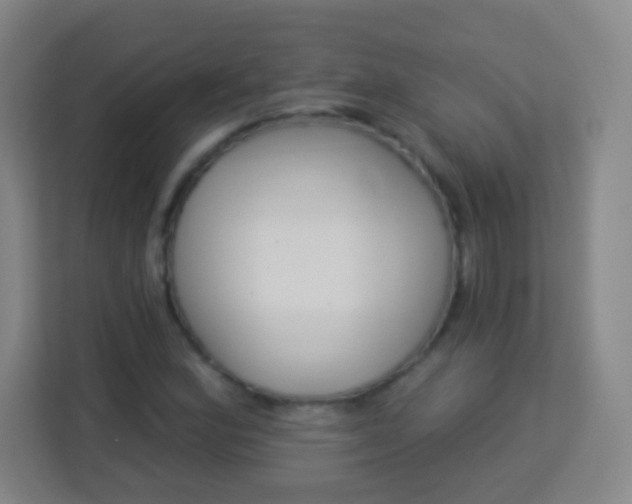 X0000113941164200910091617