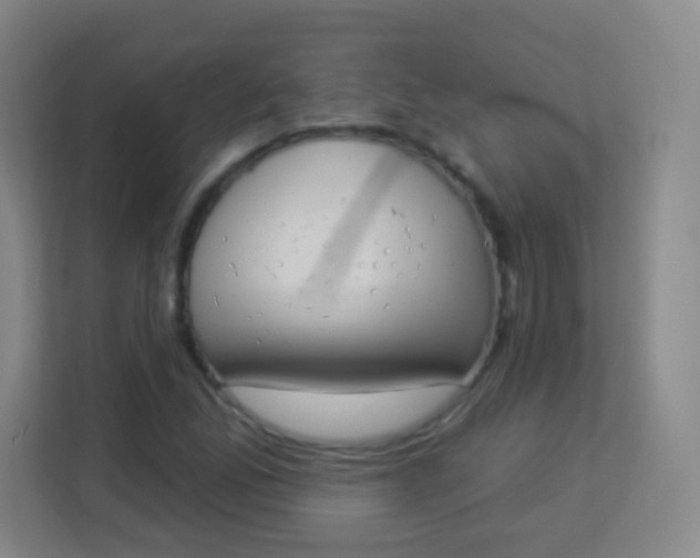 X0000113941165200910091617