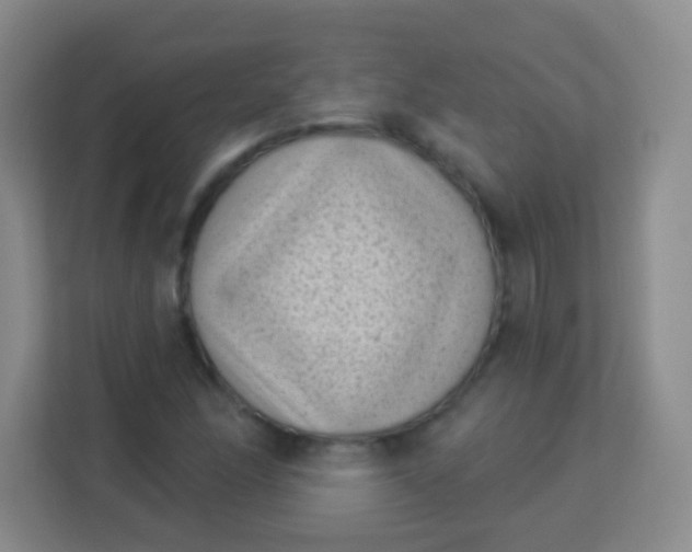 X0000113941166200910091617