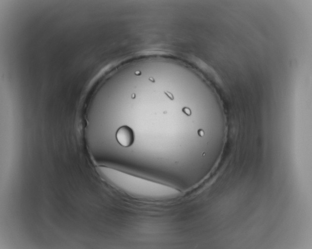 X0000113941167200910091617