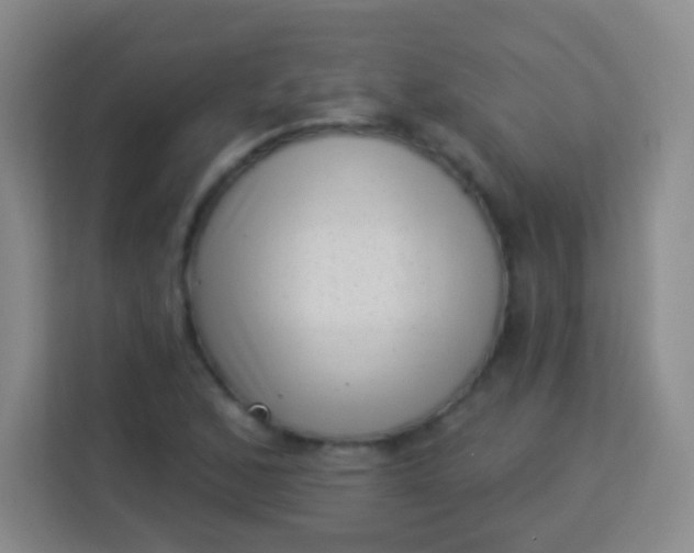 X0000113941168200910091617